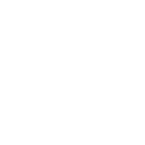 z logo white